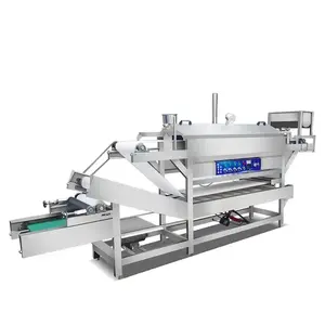 Machine de fabrication automatique de peau froide Liangpi de fabricant chinois Machine pour fabrication de nouilles de riz et de peau de riz