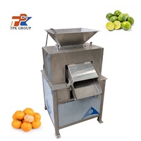Automatische Dubbele Roller Sapcentrifuge Grapefruit Sapmachine RVS Citruspers