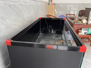 Accessoires d'<span class=keywords><strong>Aquarium</strong></span> Personnalisés Connecteurs de Cadre d'<span class=keywords><strong>Aquarium</strong></span> <span class=keywords><strong>DIY</strong></span> 8 mm 10 mm 12 mm en Plastique pour Aquariums de 10-50L Rouge Blanc Noir - Product Image 6