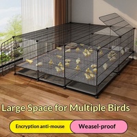Cage en fil de fer pour l'élevage de poussins et de cailles, conception anti-évasion, grand espace pouvant accueillir 30 à 80 cailles roux, utilisable toute l'année