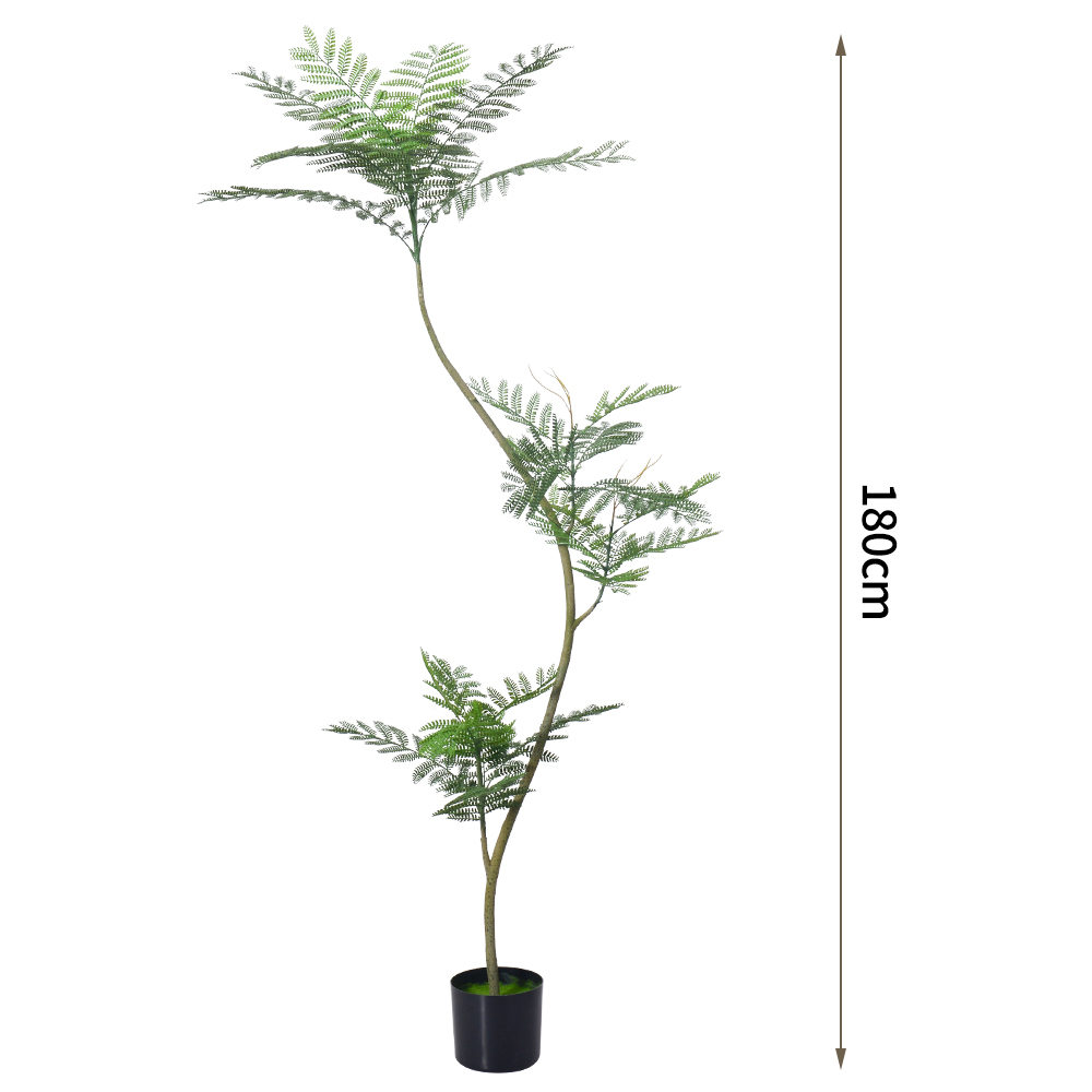โมเดล tree180cm จาคารันดา