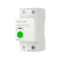 Disjoncteur intelligent monophasé Tuya en plastique pour rail DIN 63A 2P avec moniteur de puissance et commande vocale Alexa