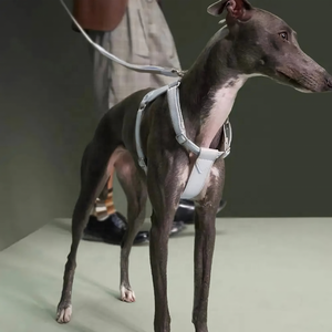 Tali kekang anjing kulit biru anak anjing tanpa tarik kustom Aksesori logam tali kekang anjing kulit anak anjing pabrik kualitas tinggi dengan pegangan - Product Image 3