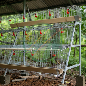 Jaula de gallinas ponedoras de 48 puestos, equipo de avicultura de alta calidad para uso en pequeñas granjas, jaula de batería para gallinas ponedoras - Product Image 6