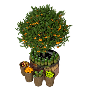 Exhibidor Metálico Cuadrado de Alta Capacidad y Durabilidad para Supermercados, Ideal para Frutas y Verduras - Product Image 4