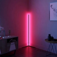 Lampe d'angle moderne pour salon avec télécommande, ambiance nordique pour coin de canapé