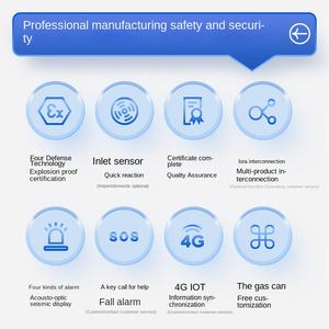 Laag stroomverbruik Draagbare zakformaat Hoge nauwkeurigheid Brandbare multi-<span class=keywords><strong>gas</strong></span> zuurstofdetector Vier-in-één waterstof-<span class=keywords><strong>formaldehyde</strong></span>-<span class=keywords><strong>gas</strong></span> - Product Image 4