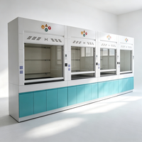 Hotte de laboratoire en acier au design moderne, plan de travail résistant aux acides pour usage scolaire et hospitalier, préparation d'échantillons, laboratoire de chimie analytique
