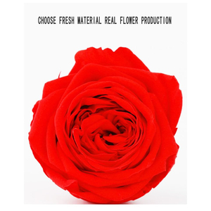 Boîte Cadeau de Fleurs Éternelles : Rose Immortelle, Rose Séchée, Têtes de Roses Artificielles et Fleurs Préservées - Product Image 5