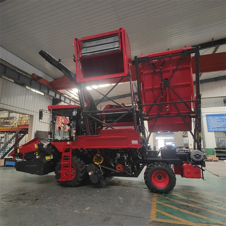 cauliflower harvester