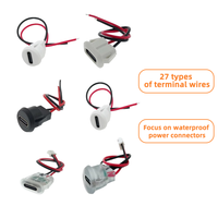 Custom Type-C Charging Dock Cable Flat Buckle Plastic Insulation TP Charging Line Terminal 100cm Length 5V Rated Voltage for