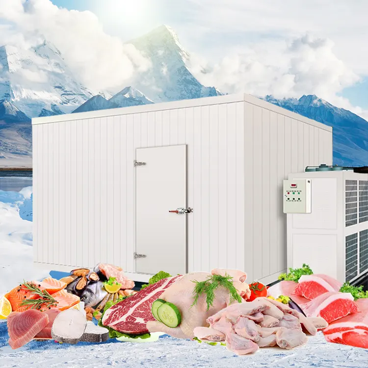 Schuck — chambre de conservation à froid, salle de congélation rapide pour les poulet gelés