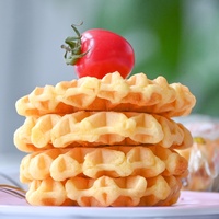 Vente d'usine, pré-mélange pour gaufres belges, farine, texture légère et moelleuse, pré-mélange pour gaufres de qualité supérieure, facile à préparer, mélange pour la pâtisserie du petit-déjeuner