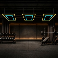 Luminaire linéaire LED suspendu commercial, lampe suspendue géométrique pour les zones d'entraînement en salle de sport