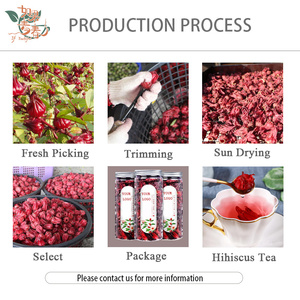 ハイビスカス花乾燥ローゼル茶バルクエキス - Product Image 3