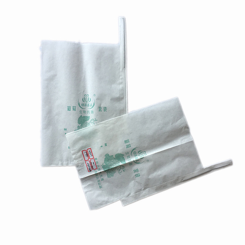 Mango Cover Waterproof Protection Anti Uv Fruit Growing Paper Bag Mango Cover Waterproof Protection Anti Uv Fruit Growing Paper Bag