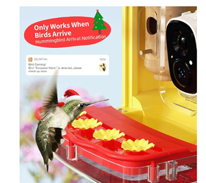 Comedero para Pájaros Solar Inteligente con Cámara, Identificación Automática de Aves, Resistente al Agua IP66, Cámara HD 2K, Reproduce Transmisiones en Vivo - Product Image 2