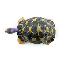 Modèle de tortue sauvage en PVC massif, simulation transfrontalière, ornements à assembler, souvenir d'aquarium