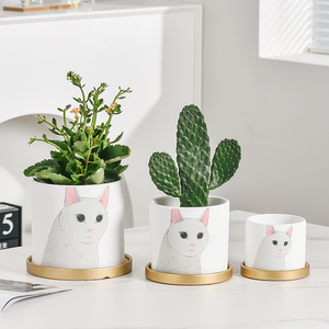 Maceta de Cerámica con Diseño de Gato de Dibujos Animados, con Bandeja, Diseño Abstracto Nórdico, Maceta Redonda para Fresas, Suculentas y Pothos - Product Image 2