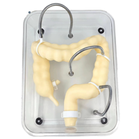 Modèle de formation en coloscopie scientifique médicale, simulation souple de l'organisme du côlon pour modèle d'enseignement