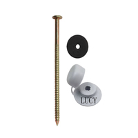 100 pièces/sac 75mm 90mm 120mm Clous de toiture galvanisés en métal Safetop IBR Vis de toiture Safe Top avec rondelle en plastique pour le Zimbabwe