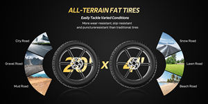 Bicicleta Eléctrica KOOLUX con Motor Trasero sin Escobillas de 250W para Adultos, Batería de Litio de 48V 15.6Ah, Alcance de 150KM, 45KM/H, Tracción en las Cuatro Ruedas, Neumático Grueso de 20 Pulgadas, 6 Velocidades - Product Image 6