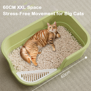 Caja de arena para principiantes para gatitos con rampa de entrenamiento Mini inodoro de plástico cubierto para gatos y cuchara Gratis incluye desodorante - Product Image 5