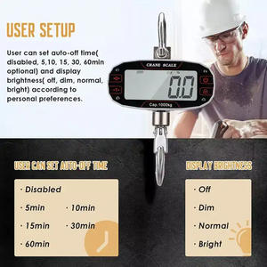 मिनी डिजिटल क्रेन स्केल उच्च परिशुद्धता 100/200/300/500/1000 किलोग्राम क्षमता एलसीडी ओएम प्रमाणित इलेक्ट्रॉनिक हैंग स्केल - Product Image 6