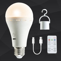 Ampoule LED 3.7V rechargeable par USB, en forme de spirale, à intensité variable, avec télécommande, pour marché nocturne, camping, pêche, extérieur