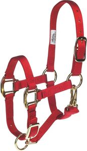 Cabestro para Caballos Resistente con Hebillas de Calidad para Entrenamiento, Cuidado y Transporte - Product Image 5