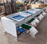 Industriële Blauwe Bes Sorteermachine van RVS, Hoge Efficiëntie, Capaciteit 500-1000kg/u, voor het sorteren van bosbessen en blauwe bessen