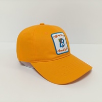 Casquettes de papa unisexes ajustables, décontractées, sportives, en coton 100%, non structurées, 6 panneaux, avec logo brodé personnalisé