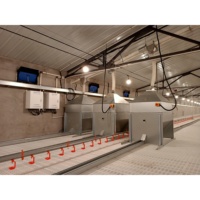 Nouveau système de sol pour élevage avicole à grande échelle, entièrement automatique, haute productivité, équipement d'élevage de poulets, taux d'éclosion de 100%