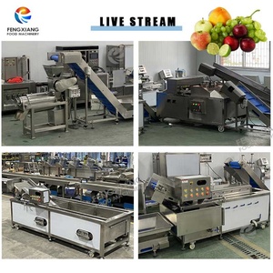 Machine industrielle pour le dénoyautage, le traitement à l'eau chaude et l'extraction de jus des cerises, des prunes, des pruneaux, des groseilles indiennes et des Phyllanthus Emblica - Product Image 6