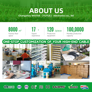 Câble d'affichage WISTAR en promotion, fourni par l'usine, DP vers DP 4K 60Hz <span class=keywords><strong>pour</strong></span> <span class=keywords><strong>TV</strong></span> et ordinateur, câble DisplayPort HDTV à fibre optique - Product Image 6