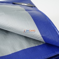 Bâche de toiture légère en polyéthylène imperméable, bâche PE bleue