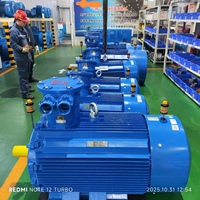 Moteur asynchrone antidéflagrant série YBK3 250,0 kW 335,0 CV pour mine souterraine de charbon, 2 pôles, 3 phases, 50 Hz, efficacité IE3, IP55