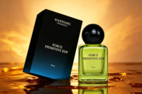 Parfum Fougère Robuste par Kourtisanes EDP - Spray Longue Durée, Fournisseur Professionnel, Vente en Gros et Formules de Parfum Personnalisées