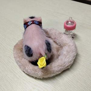 Muñeca <span class=keywords><strong>Reborn</strong></span> de Silicona Suave, Diseño Nuevo, Realista, Mini, Color Rosa, Linda, con Gorro de Piel para Niños - Product Image 4