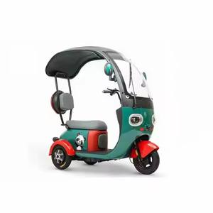 2025 nouveau vélo électrique adulte Pedicab 800W usage familial vélo électrique à 3 roues avec toit ouvert corps 48V tension - Product Image 3