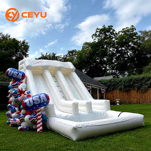 Ceyu - Tobogán Acuático Inflable de PVC para Niños, de Doble Carril, para Exteriores, Jardín, Patio Trasero, Uso Comercial - Product Image 1
