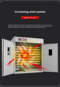 Интеллектуальное многофункциональное инкубационное оборудование нового поколения 88-5280 для выведения цыплят, инкубатор и выводилка для яиц - Product Image 6