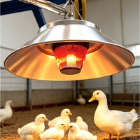 Nouveau chauffage à gaz haute performance en acier inoxydable 6,6 kW pour poulailler, idéal pour les fermes avicoles africaines