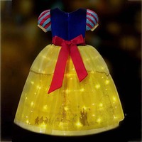 Produits de vente chaude 2024 LED Party Dress up Costume de princesse Princesse Light up Dress DISP-003