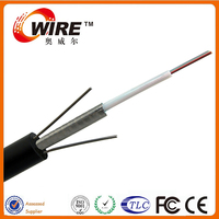 Factory Supply OEM Brand GYXTW Fiber Optic Cable 2-12 Cores Single Mode/Multimode Central Loose Tube Design ODN FTTH Network