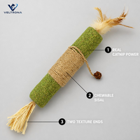 Bâton géant de catnip pour chat, jouet interactif avec corde en sisal et plumes pour le jeu