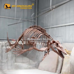 MY DINO DS-135 Amazing Science Museum Dinosaur Skeleton Mosasaur Exhibition - Product Image 1