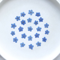 Groothandel DIY handgemaakte nagelkunst materialen gedroogde bloemen gedroogde vergeet-mij-nietjes geperste bloemen voor bladwijzers en telefoonhoesjes