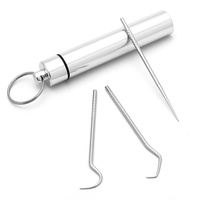 1 ensemble de cure-dents métal acier inoxydable nettoyage Oral fil dentaire cure-dents Portable