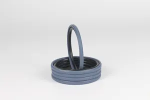 2024 Hot Sale Stock Available Hydraulic Piston Spgo Seals Ring Rubber Ptfe Bronze Glyd Ring Spgo Piston Seal